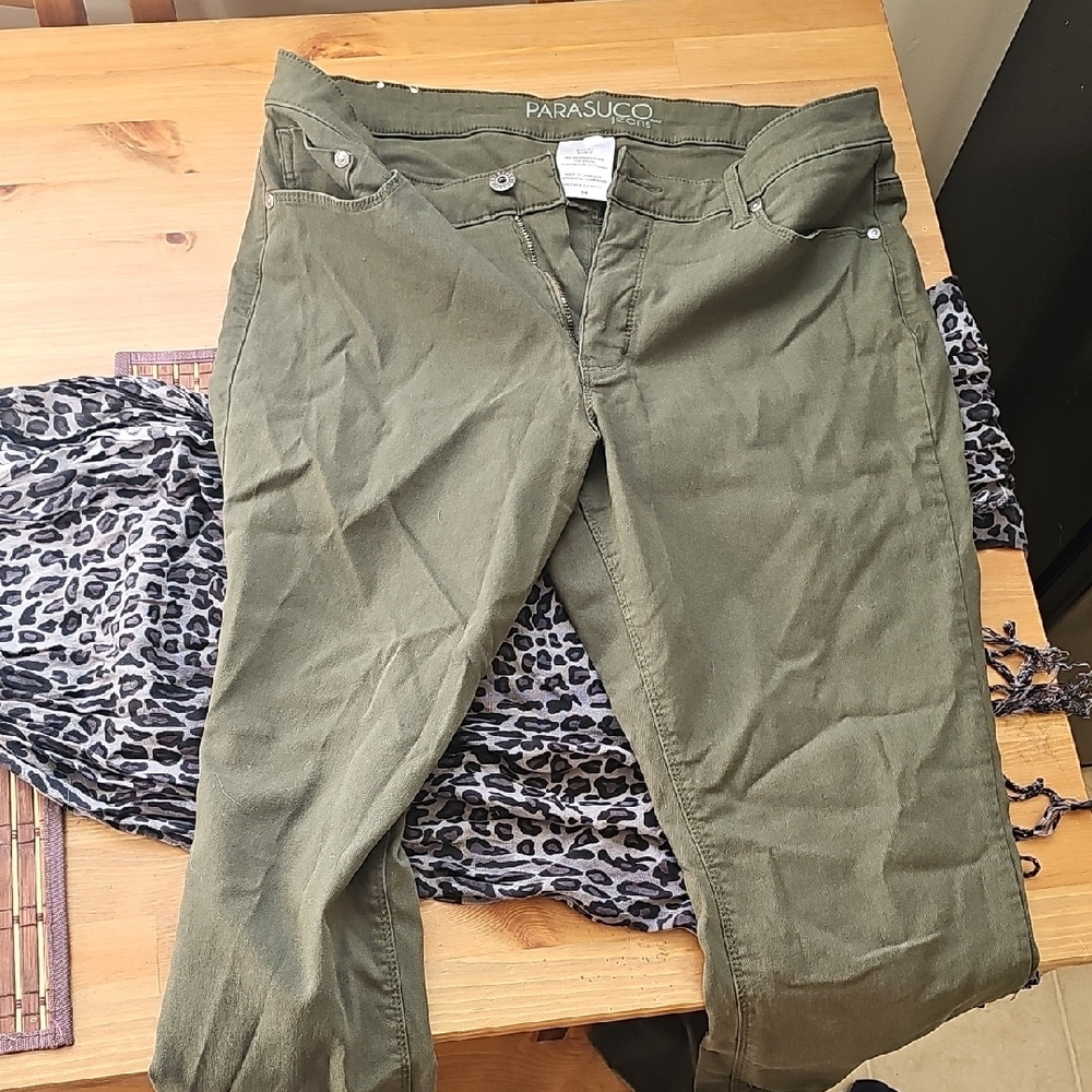 Parasuco Green Casual Pants